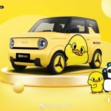 Geely Panda mini little yellow duck voiture électrique location
